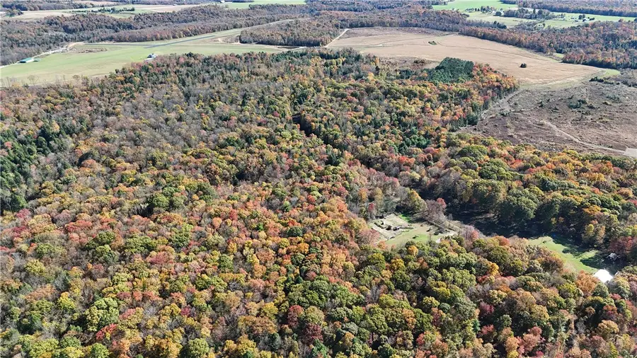 50 Acres Along Bird Lane, Strongstown, PA 15957 - #3