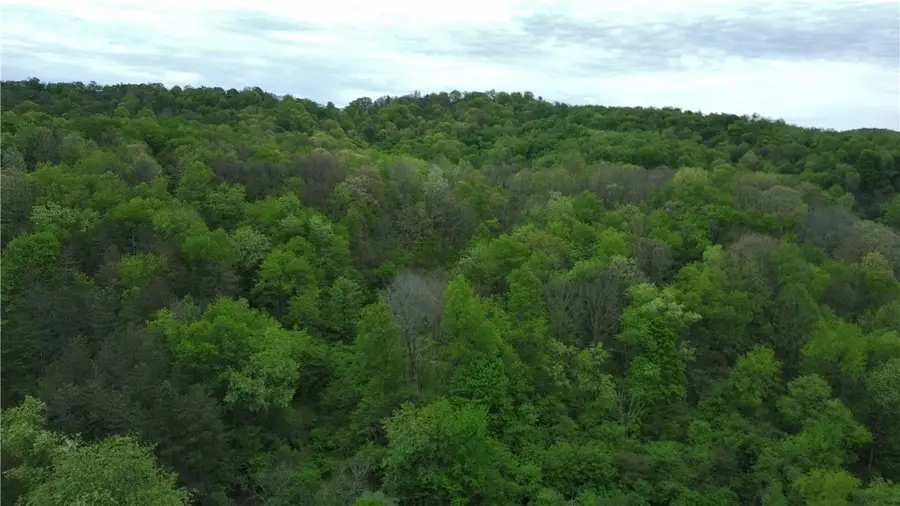 1878 Dime Rd, Vandergrift, PA 15690 - #2