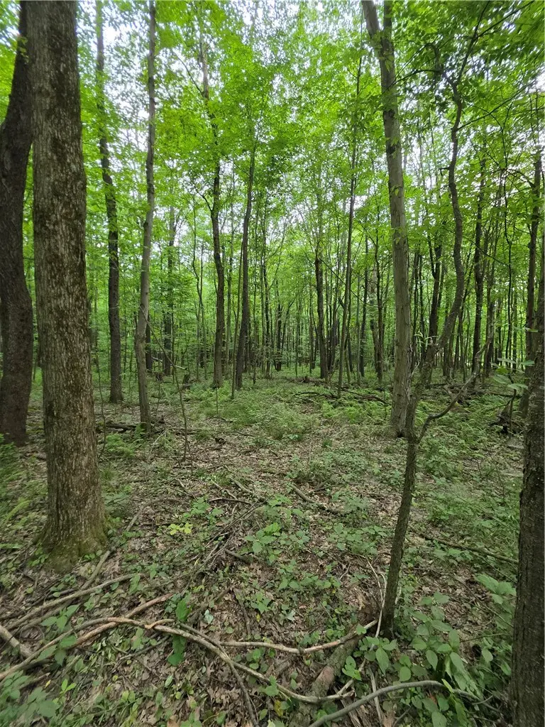 0 Silvis Rd, Homer City, PA 15748 - #3