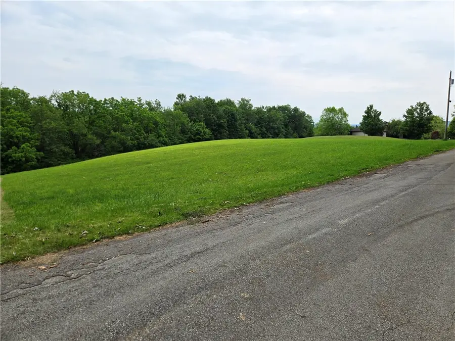 0 Mt Olive Rd, Champion, PA 15622 - #2