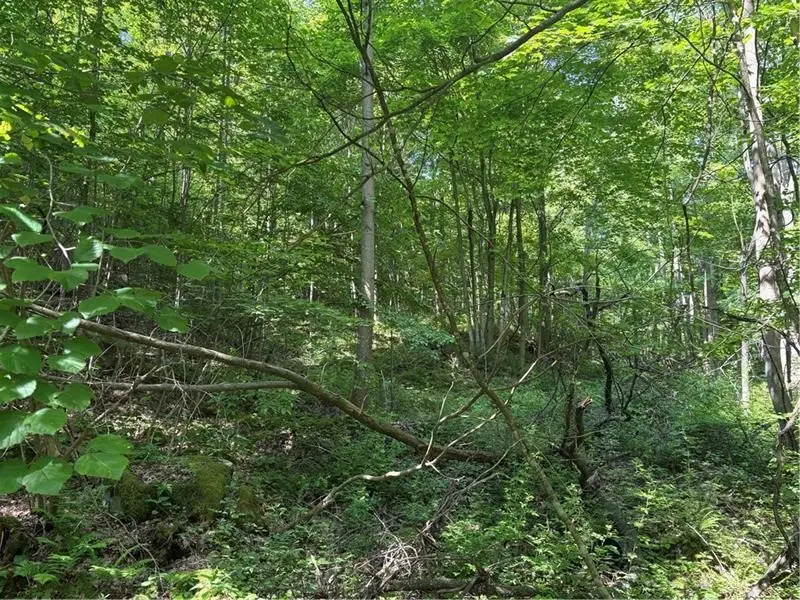 000 Fowl Hill Rd, Melcroft, PA 15462 - #1