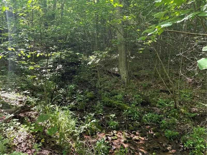 000 Fowl Hill Rd, Melcroft, PA 15462 - #2