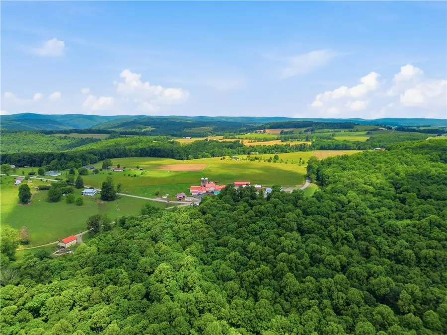 238 Odonnal Rd, Mill Run, PA 15464 - #3