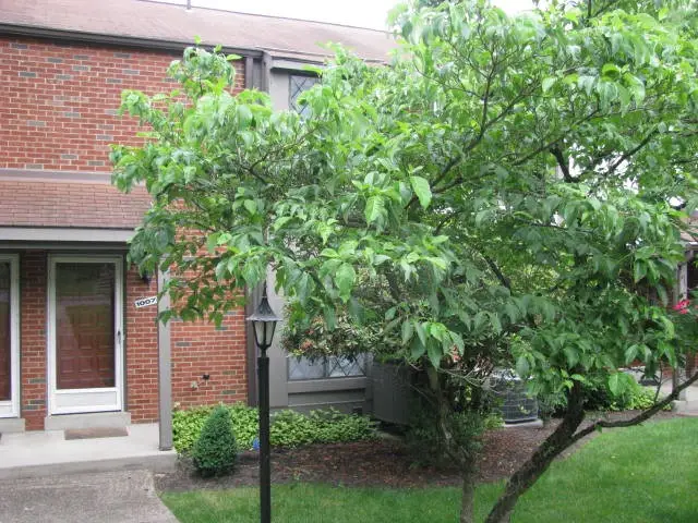 1007 Sewickley Heights Dr, Sewickley, PA 15143 - #1