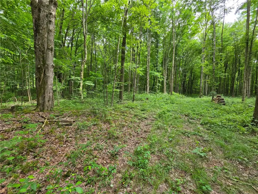 0 Fox Mine Rd, Jackson Center, PA 16133 - #1