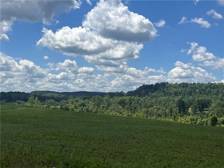 Lot 1D & 3 East Land Beaver Dam Rd, New Galilee, PA 16141 - #2