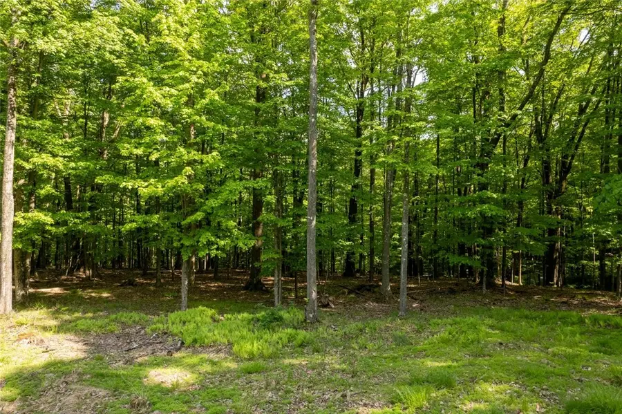 13A 210 Crooked Island Rd., Dubois, PA 15801 - #2