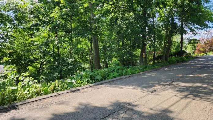 0 South Park Rd, Bethel Park, PA 15102 - #2