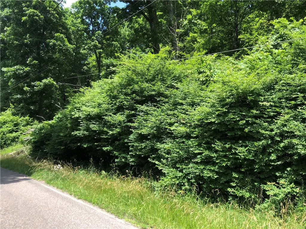 224-225 Old Mill Road, Ohiopyle, PA 15470 - #1