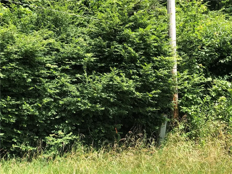 224-225 Old Mill Road, Ohiopyle, PA 15470 - #2