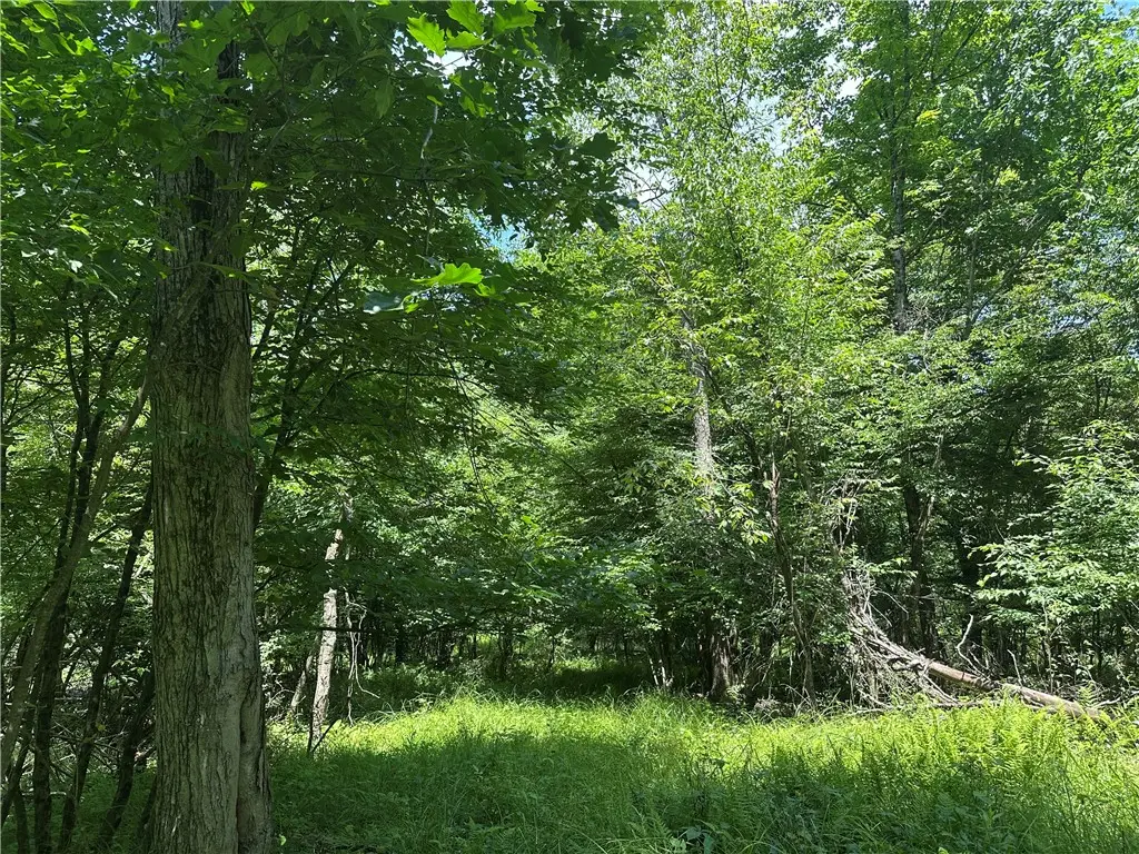 0 Cooperstown Rd, Franklin, PA 16323 - #1