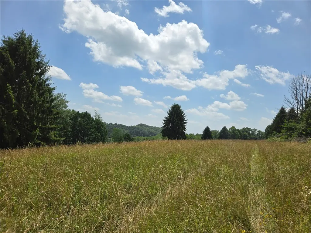 139 Pallack Ln, Harmony, PA 16037 - #1