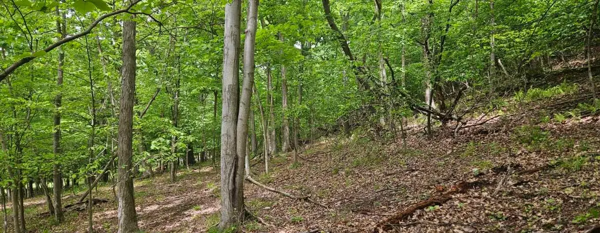 0000 Reservoir Road, Saltsburg, PA 15681 - #1