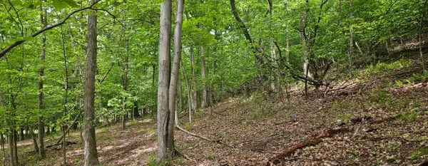 0000 Reservoir Road, Saltsburg, PA 15681