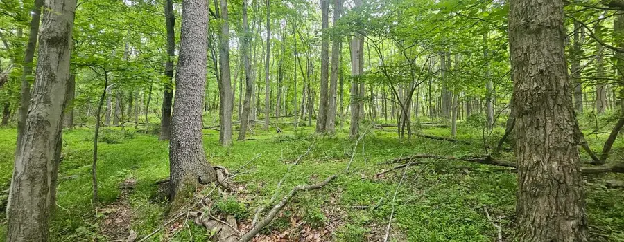 0000 Reservoir Road, Saltsburg, PA 15681 - #2
