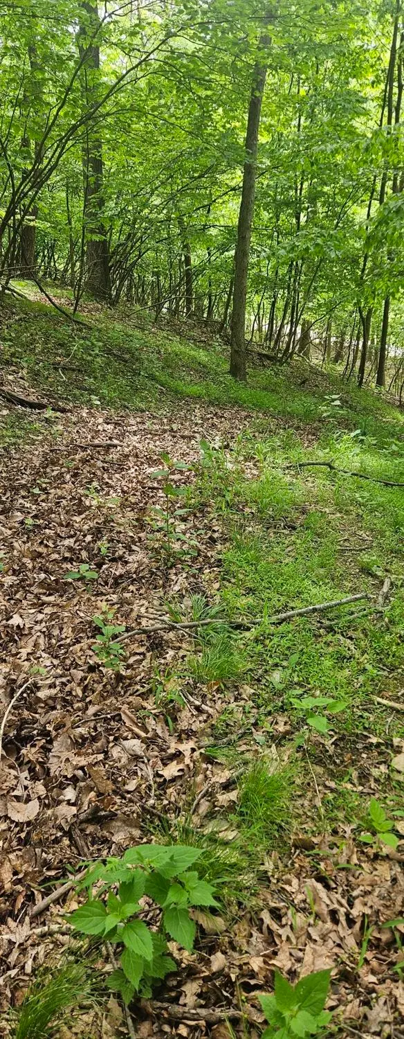 0000 Reservoir Road, Saltsburg, PA 15681 - #3