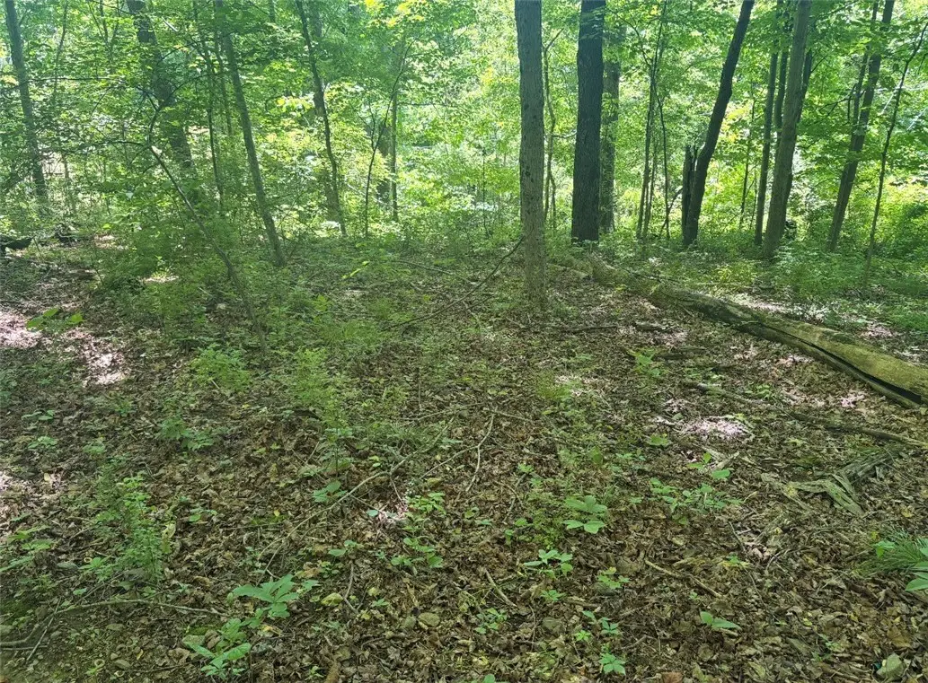 0 Tr117-nr Woodside, Smithfield, PA 15478 - #1