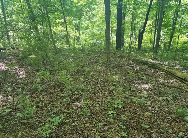 0 Tr117-nr Woodside, Smithfield, PA 15478