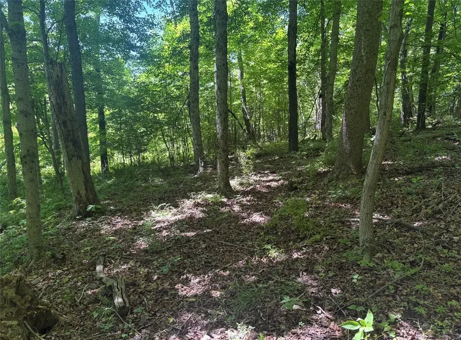 0 Tr117-nr Woodside, Smithfield, PA 15478 - #2