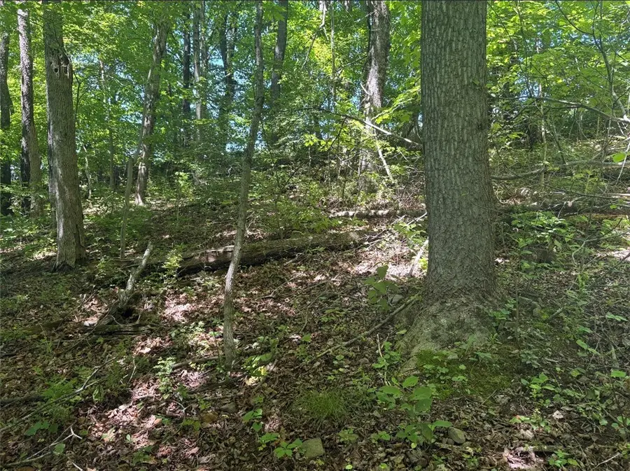 0 Tr117-nr Woodside, Smithfield, PA 15478 - #3