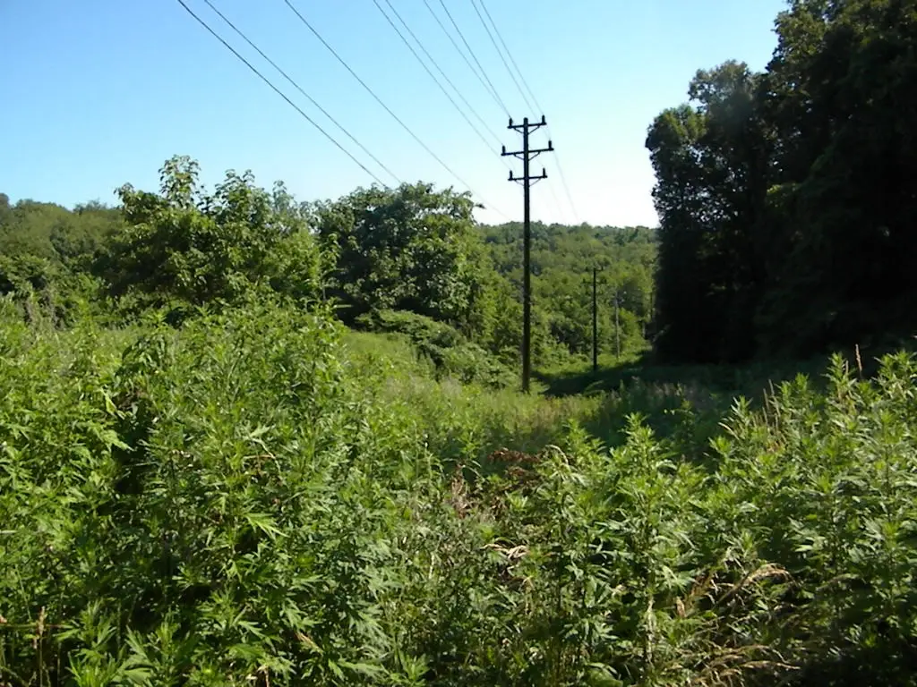 0 Washington Ave, McKeesport, PA 15133 - #1