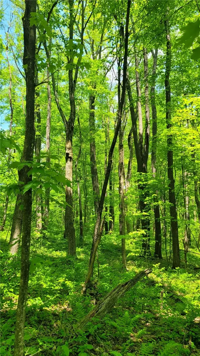 180 Hawkins Hollow Rd, Connellsville, PA 15425 - #1