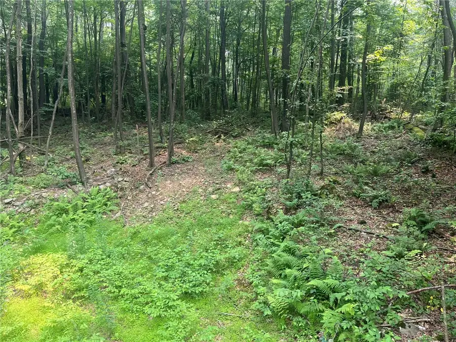 Lot 10 Off Camp Run Rd, Donegal, PA 15628 - #3