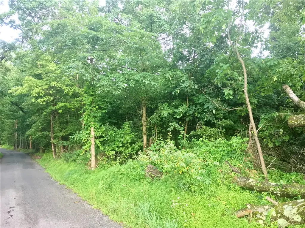 0 Palko Road, Saltsburg, PA 15681 - #1