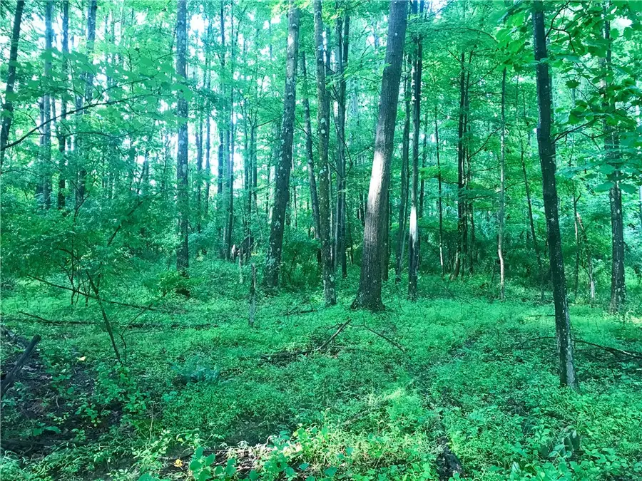 0 Palko Road, Saltsburg, PA 15681 - #2