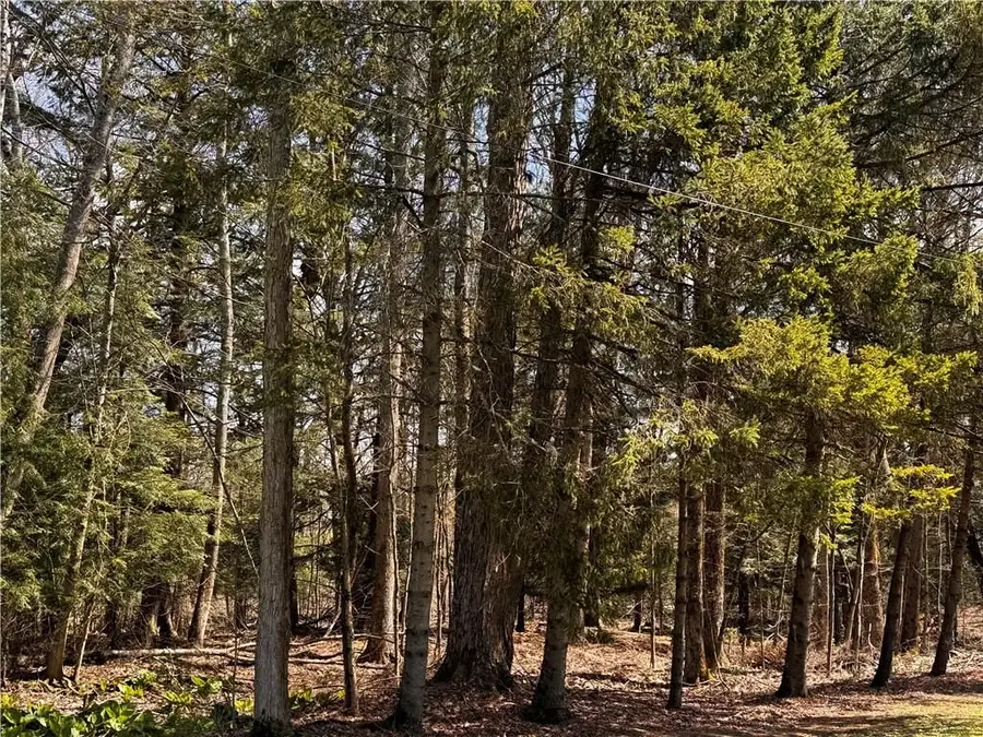 Lot 4 Lake Rd & Danner Drive, Canadohta Lake, PA 16438 - #3