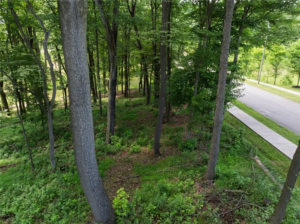 805 Mount Pleasant Rd, Mars, PA 16046 - #1