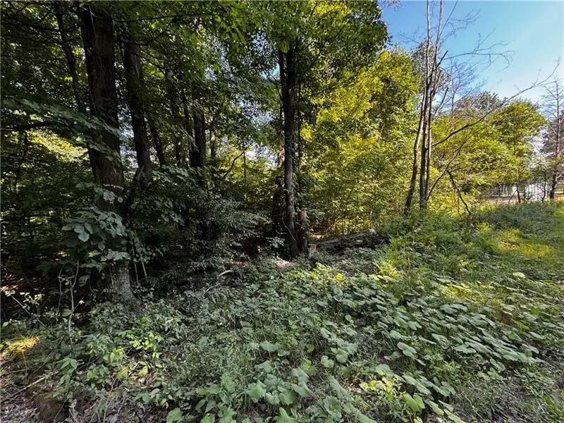 Lot 614 637 638 Weed Road, Union City, PA 16438 - #3