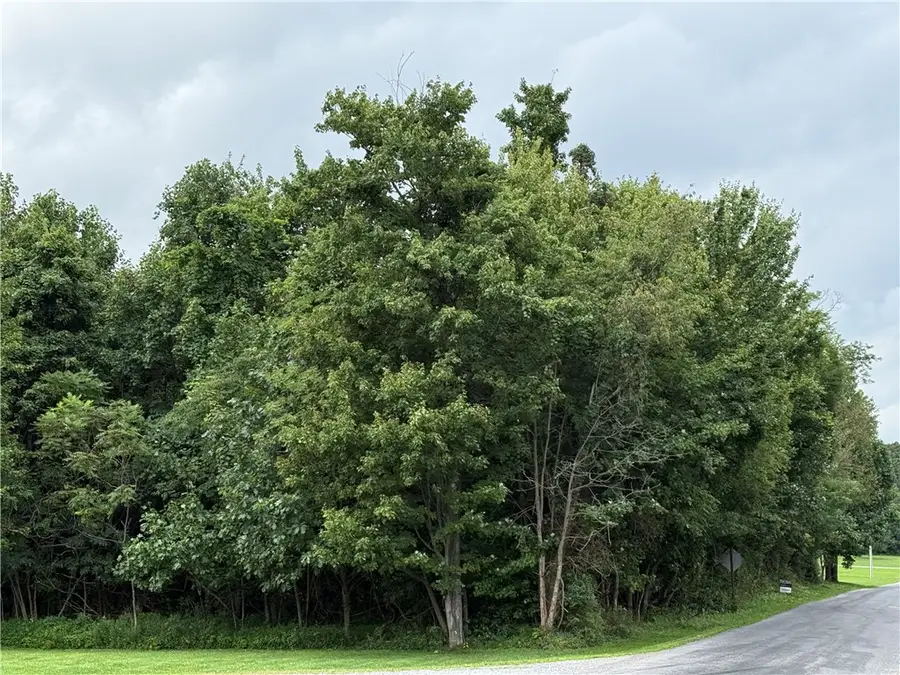 000 Shellbark Rd, Armagh, PA 15920 - #3
