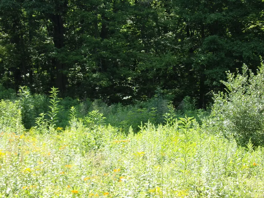 Lot 9 Applewood Dr, Lower Burrell, PA 15068 - #3