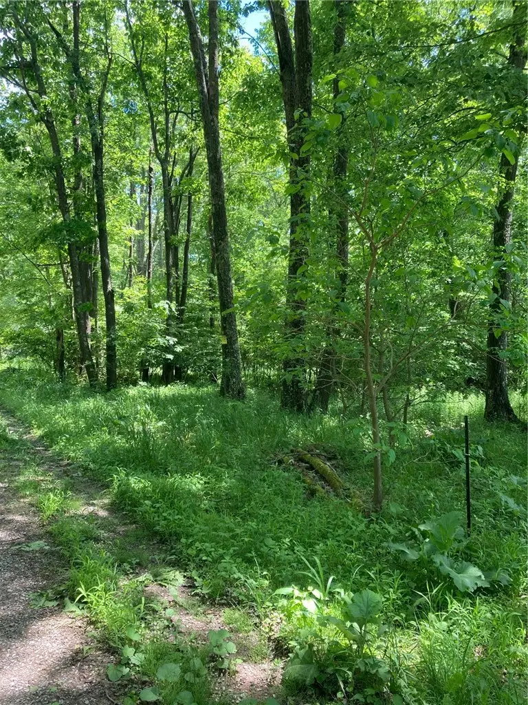 1215 Sandy Run Rd, Confluence, PA 15424 - #2