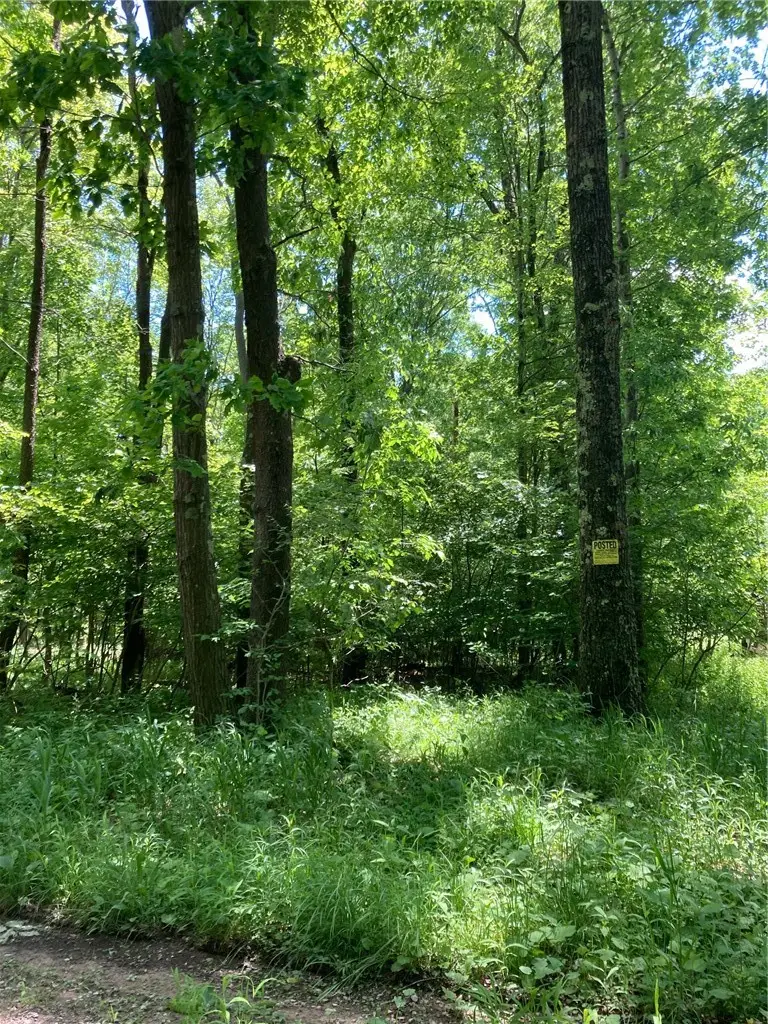 1215 Sandy Run Rd, Confluence, PA 15424 - #3