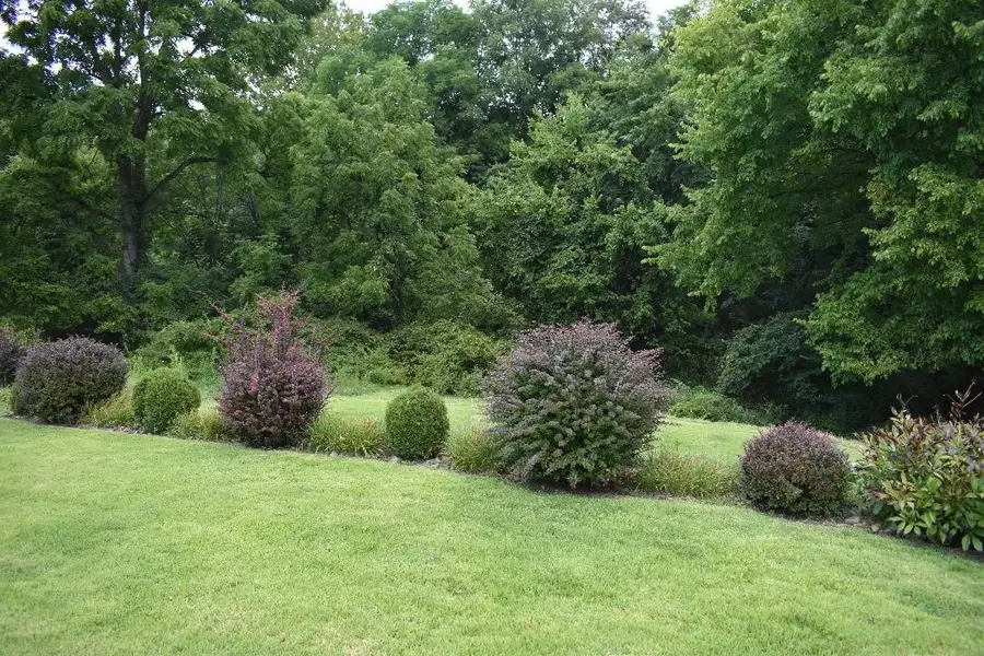 706 Lechner Ln, Pittsburgh, PA 15227 - #3