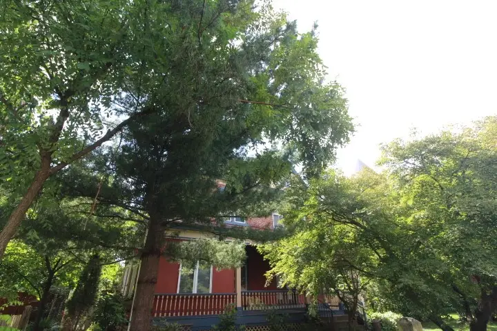 5546 Hays St, Pittsburgh, PA 15206 - #1