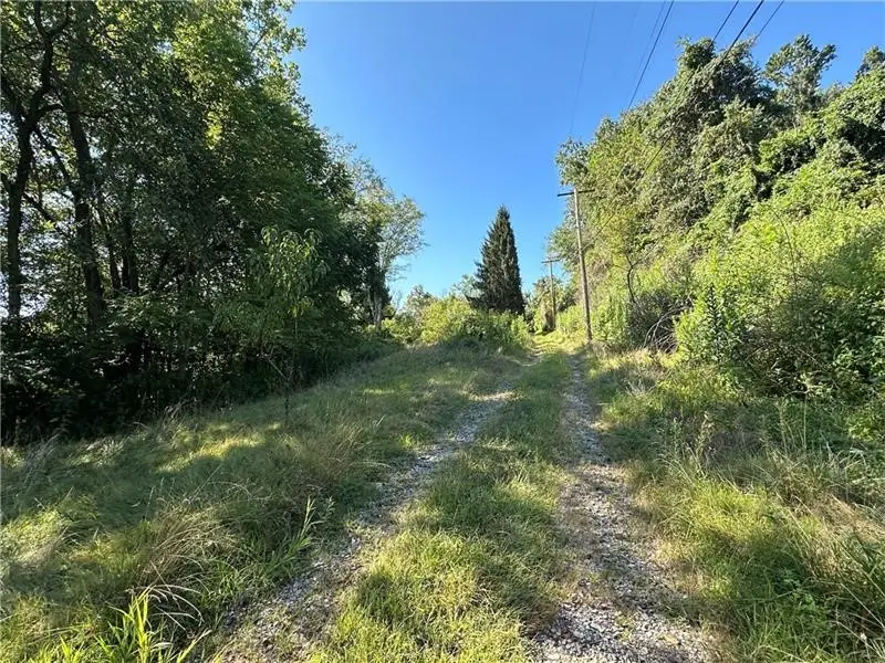 1441 Leckrone Masontown Road, Masontown, PA 15461 - #3