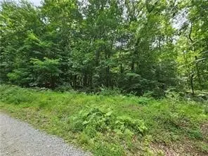 Lot 17/18 Tanager, New Alexandria, PA 15670 - #1