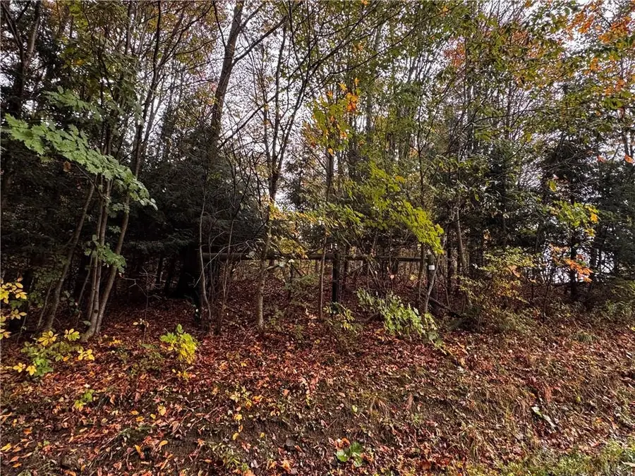 Lot 1 Dobbs Rd, Union City, PA 16438 - #2