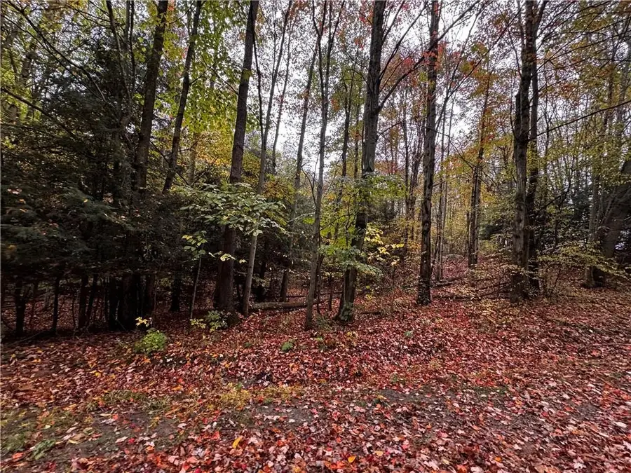 Lot 1 Dobbs Rd, Union City, PA 16438 - #3