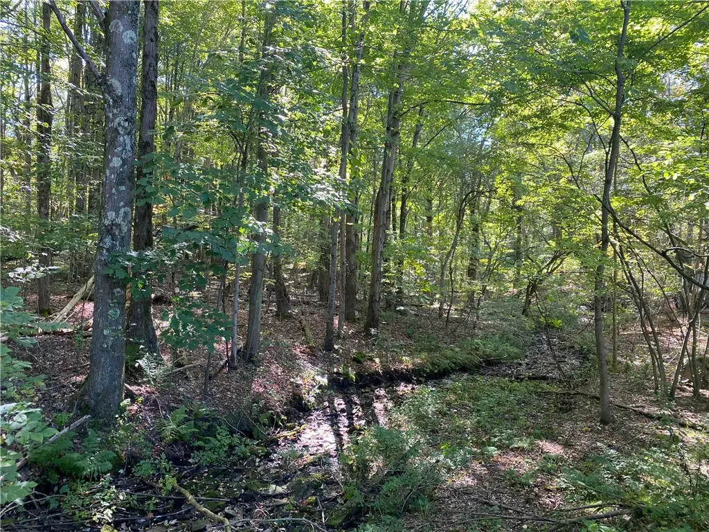 0 Carlyn Drive, Saegertown, PA 16433 - #1