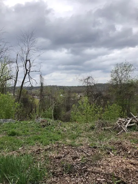0111 Ridge Rd, South Park, PA 15129 - #3