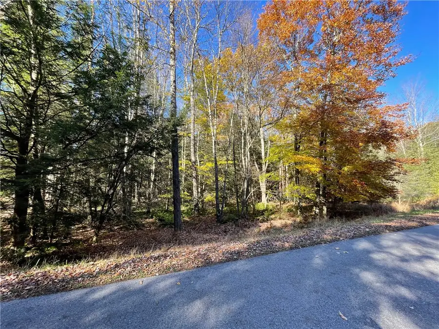 Lot 254 Clear Run Road - Peninsula Estates, Central City, PA 15926 - #3