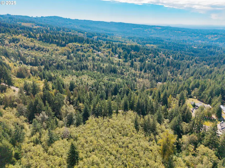 (tax Id 986058362), Battle Ground, WA 98604 - Image #3