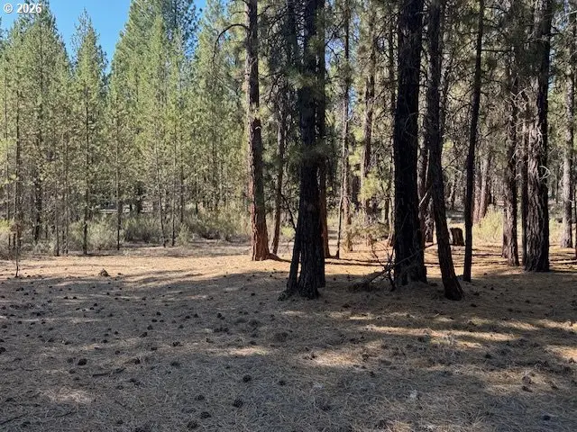 Green Forest Dr #Lot 3, Chiloquin, OR 97624 - #1