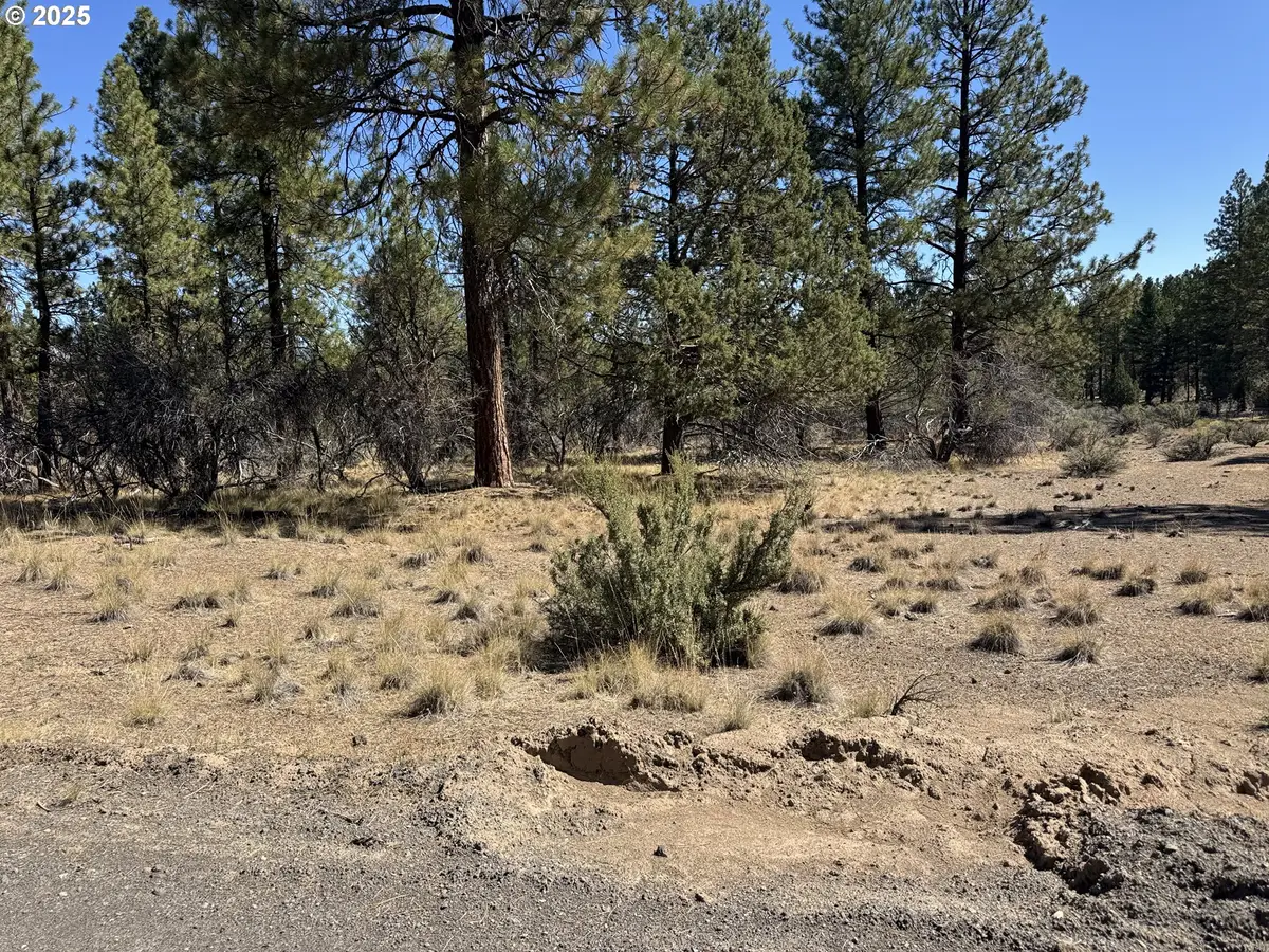 32818 Jean St, Chiloquin, OR 97624 - #1