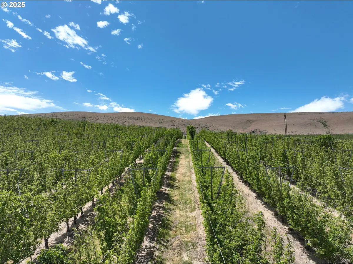 Suntarget Rd, Moxee, WA 98936 - Image #1