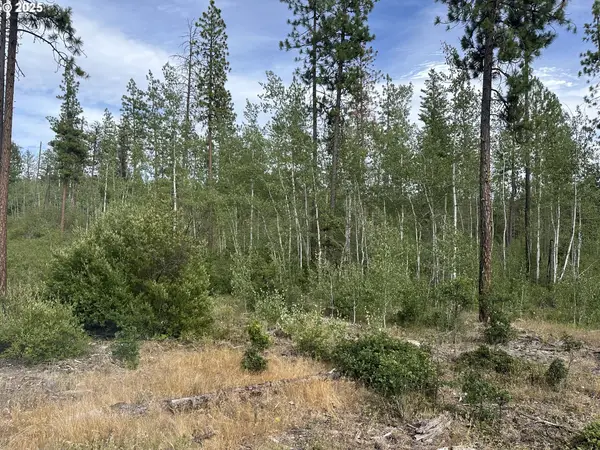 5 Greyback Mtn Rd, Goldendale, WA 98620